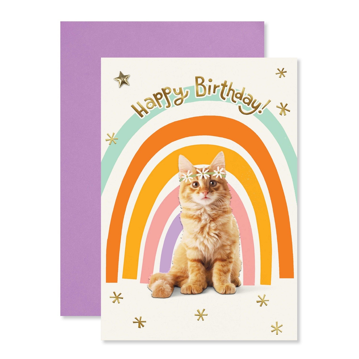 Connections from Hallmark Birthday Card - Happy Birthday! featuring a cat on a rainbow backdrop with gold foil details and a purple envelope.