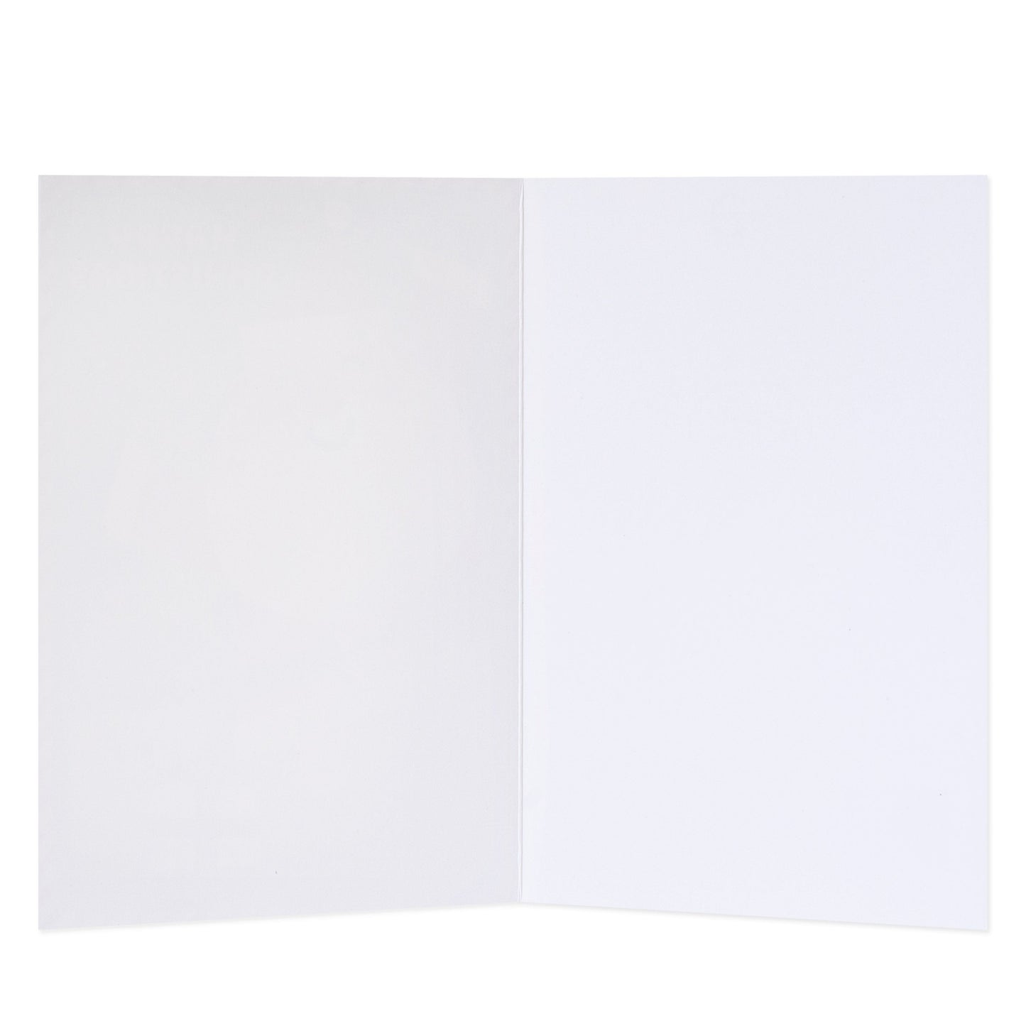 Hallmark Megan Maloney Photographic Card - Blank