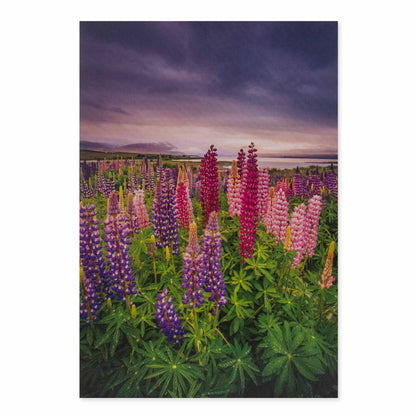 Hallmark Megan Maloney Photographic Card - Blank