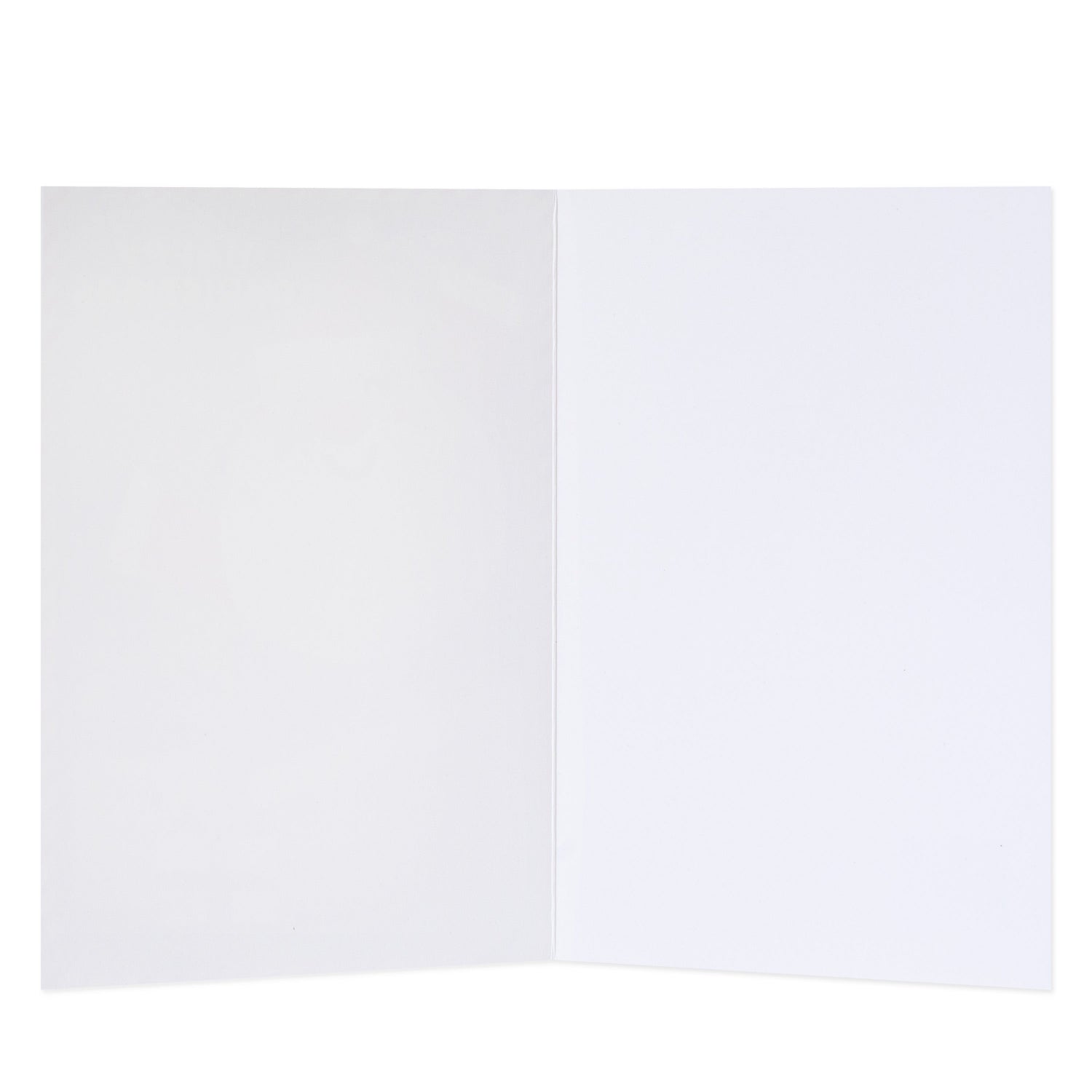 Hallmark Megan Maloney Photographic Card - Blank, interior view, showing blank white space for personal messages.