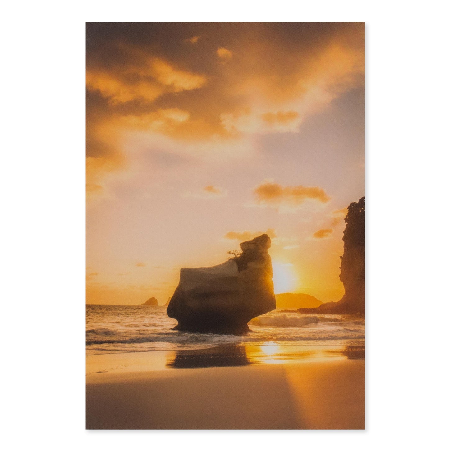 Hallmark Megan Maloney Photographic Card - Blank