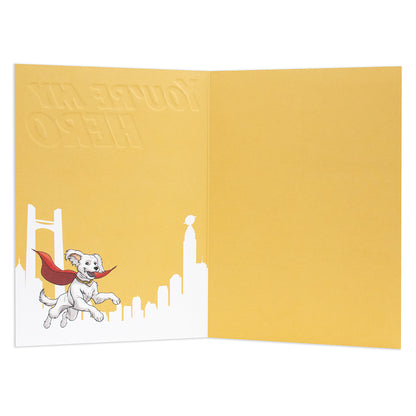 Hallmark Father's Day Card - You're My Hero