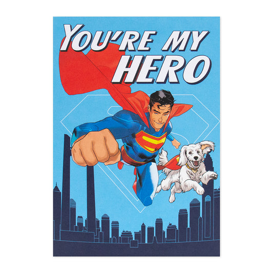 Hallmark Father's Day Card - You're My Hero