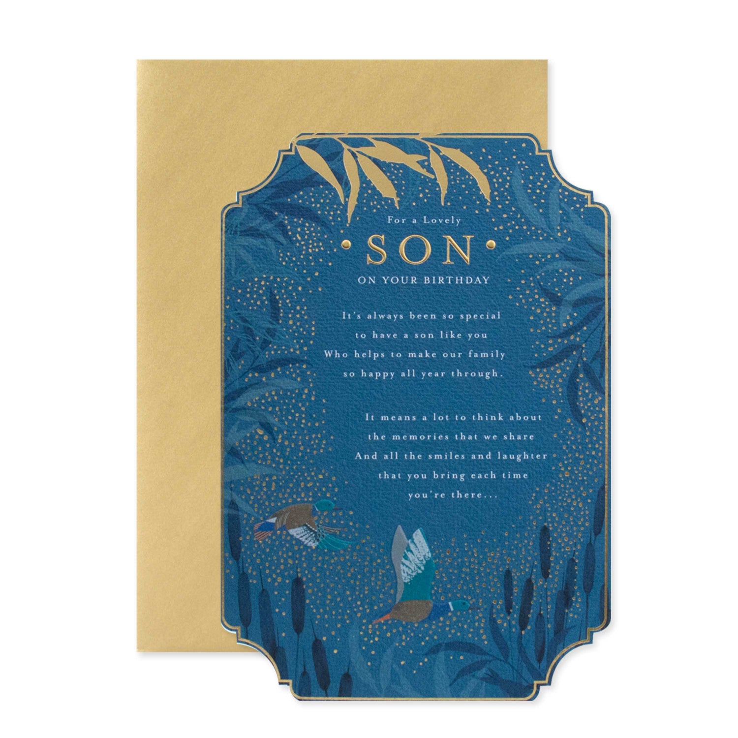 Hallmark Son Birthday Card - For a lovely Son with gold foil and emboss detailing, featuring bird and foliage design, flat lay presentation.