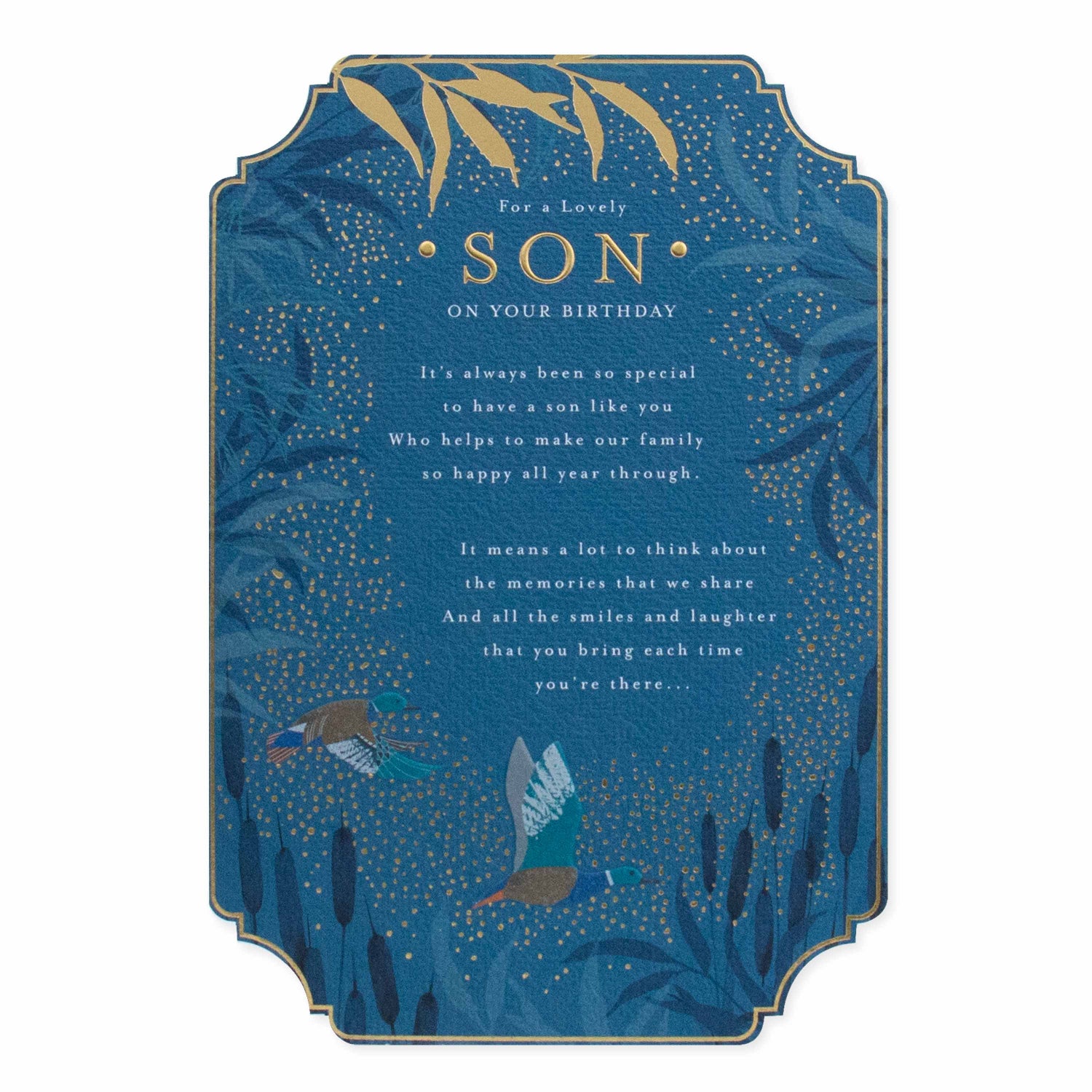 Hallmark Son Birthday Card - For a lovely Son, blue textured stock, gold foil detail, featuring birds and foliage.