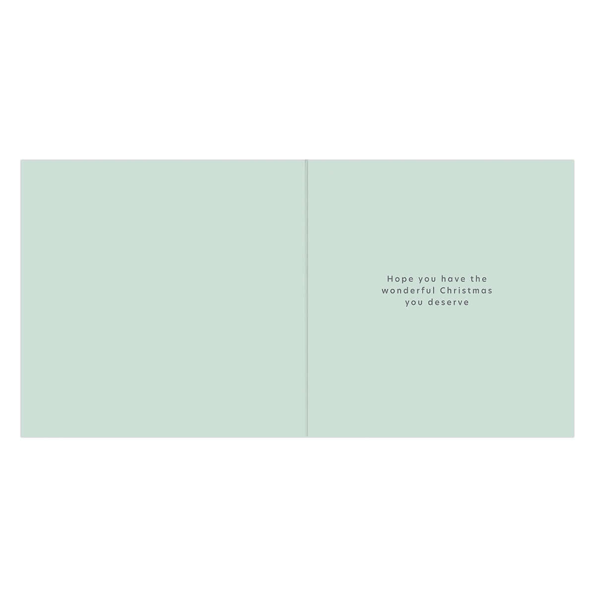 Hallmark Christmas Husband Card - Amazing Husband, inside view, mint green background, heartfelt message wishing a wonderful Christmas.