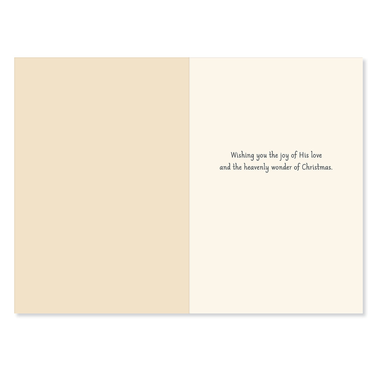 Hallmark Christmas Card - Season of Beauty & Joy