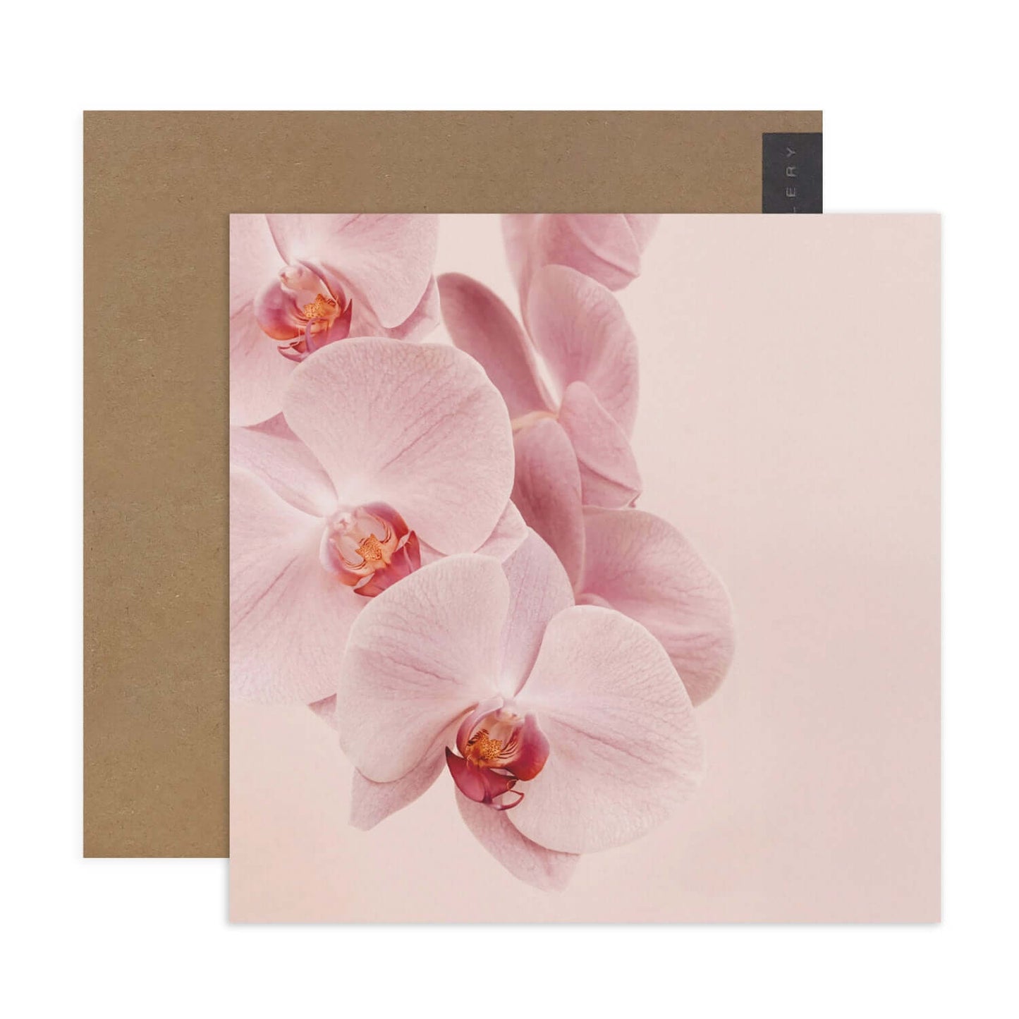 Hallmark x Donna Delaney Gallery Blank Greeting Card - Jennifer with pink orchids on a soft background, flat lay with brown envelope.