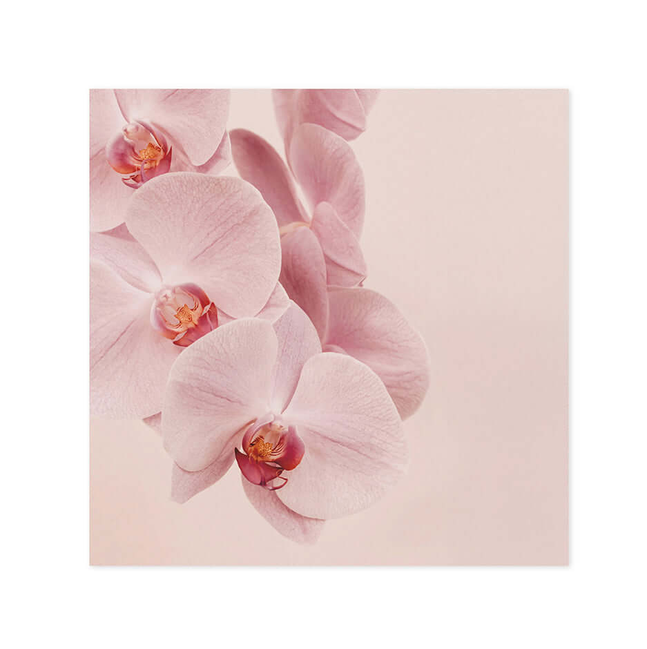 Hallmark x Donna Delaney Gallery Blank Greeting Card - Jennifer featuring delicate pink orchids on a soft pastel background.