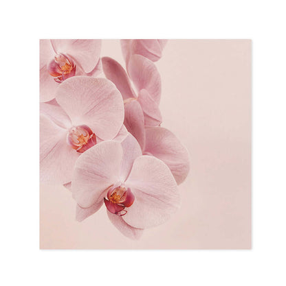Hallmark x Donna Delaney Gallery Blank Greeting Card - Jennifer featuring delicate pink orchids on a soft pastel background.
