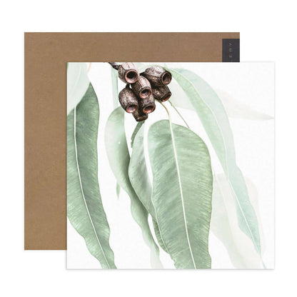 Hallmark x Donna Delaney Gallery Blank Greeting Card - Home Among The Gum Trees with green leaves and gumnuts, flat lay with kraft envelope