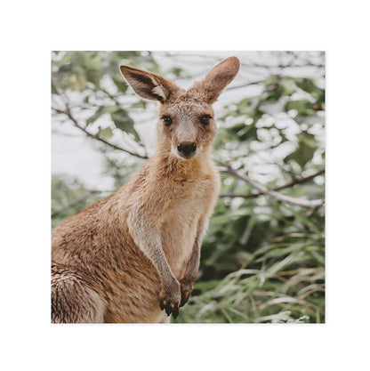 Hallmark x Donna Delaney Gallery Blank Greeting Card - Jett The Joey