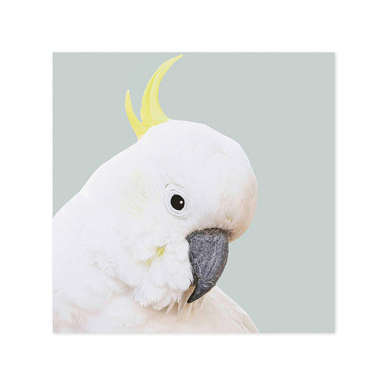 Hallmark x Donna Delaney Gallery Blank Greeting Card - Freddy