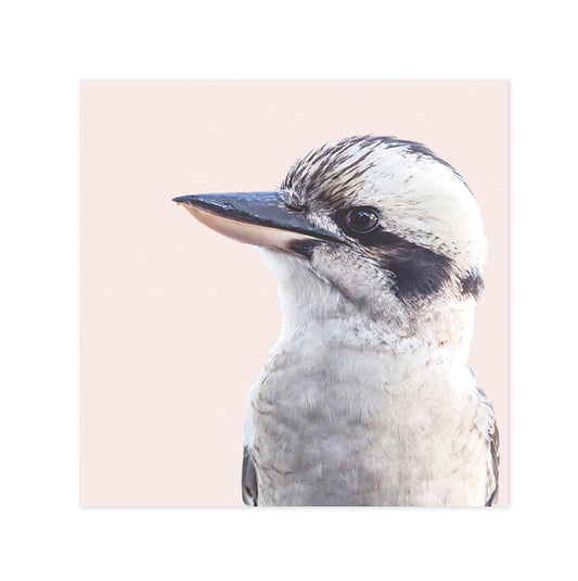 Hallmark x Donna Delaney Gallery Blank Greeting Card - Kookaburra