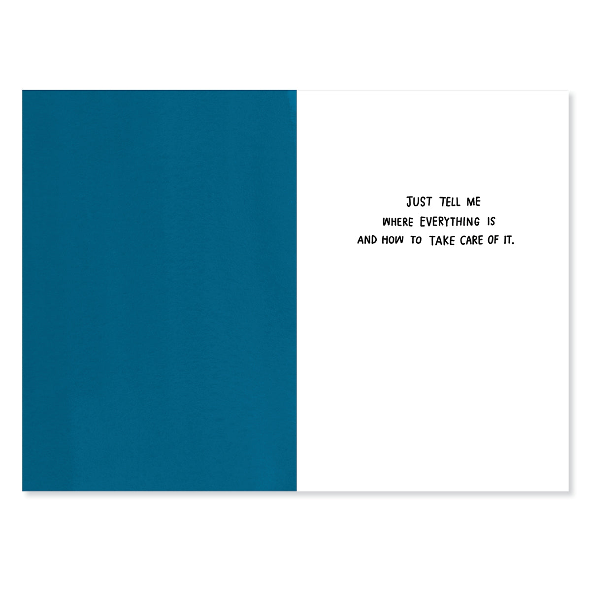 Hallmark Shoebox Mother's Day Card - Dads Help inner message with blue panel and black text saying 'Just tell me where everything is and how to take care of it'