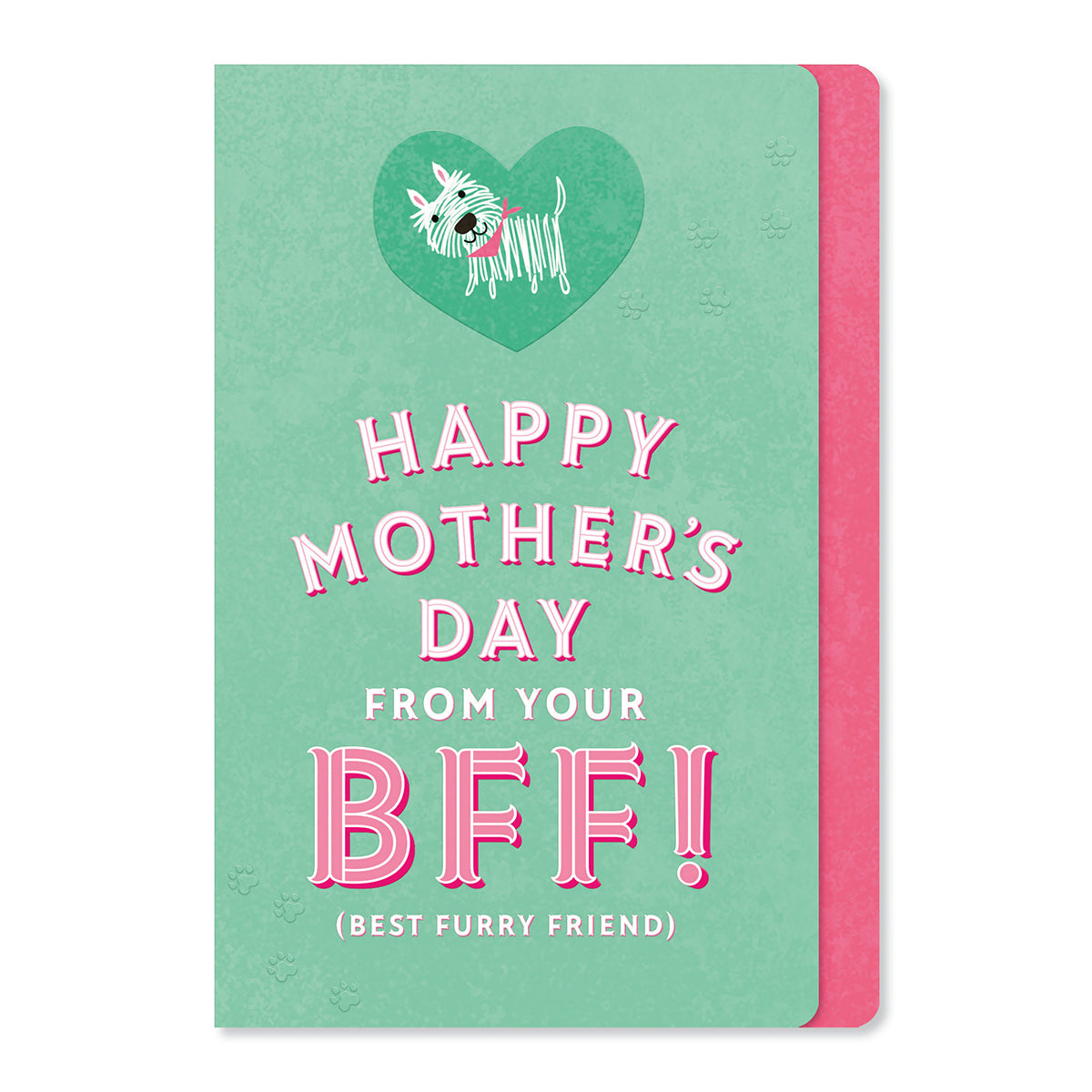 Hallmark Mother's Day Card From The Dog - Best Furry Friend, vibrant turquoise design with embossed heart and cheerful message.