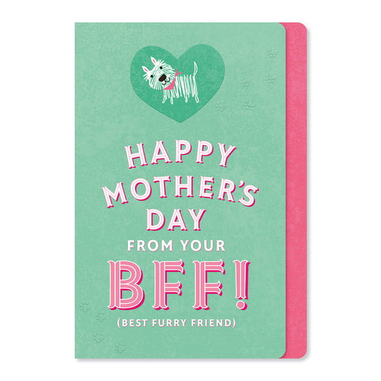 Hallmark Mother's Day Card From The Dog - Best Furry Friend, vibrant turquoise design with embossed heart and cheerful message.