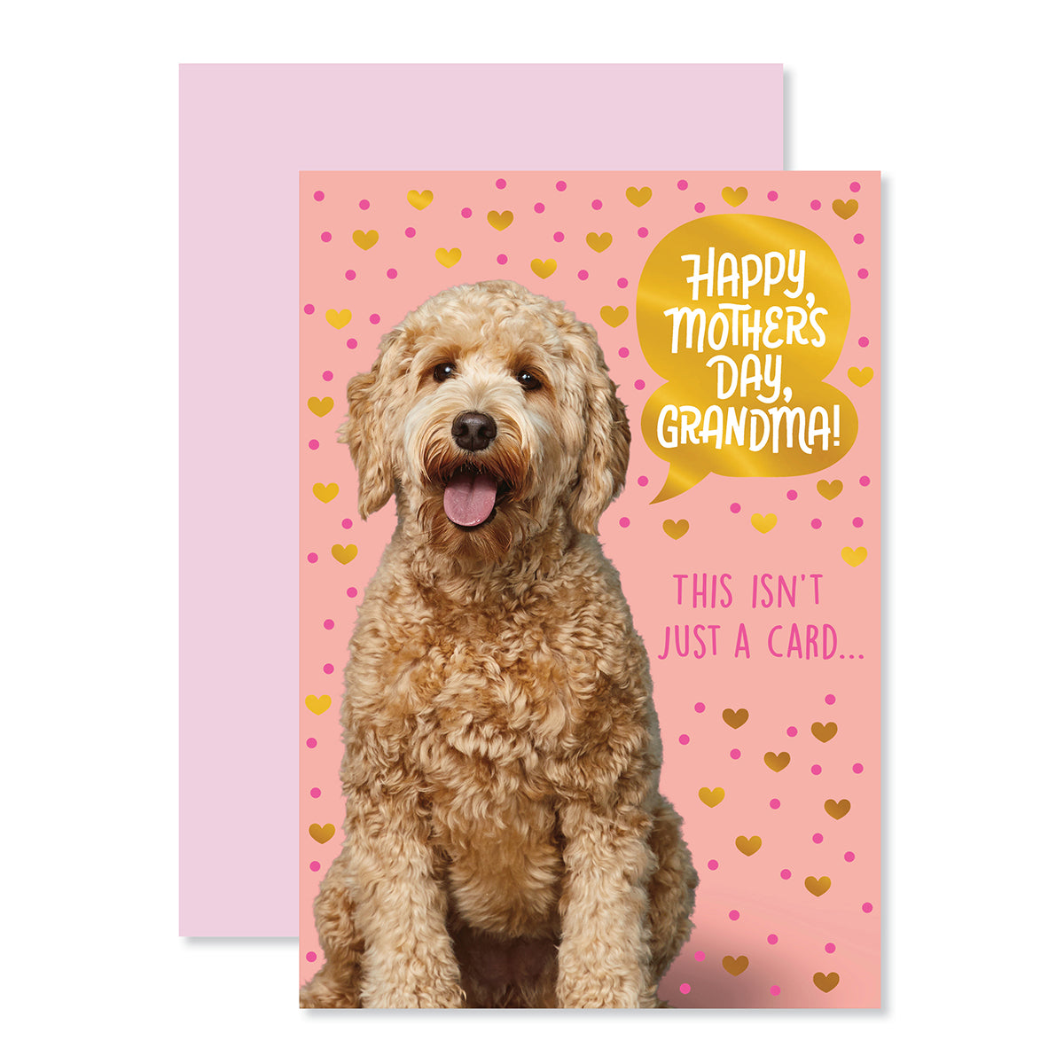 Hallmark Mother's Day Card For Grandma - Awesomest & Kindest with goldendoodle dog, pink background, and gold foil details.