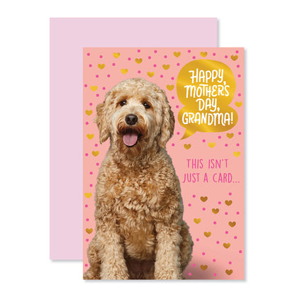 Hallmark Mother's Day Card For Grandma - Awesomest & Kindest with goldendoodle dog, pink background, and gold foil details.