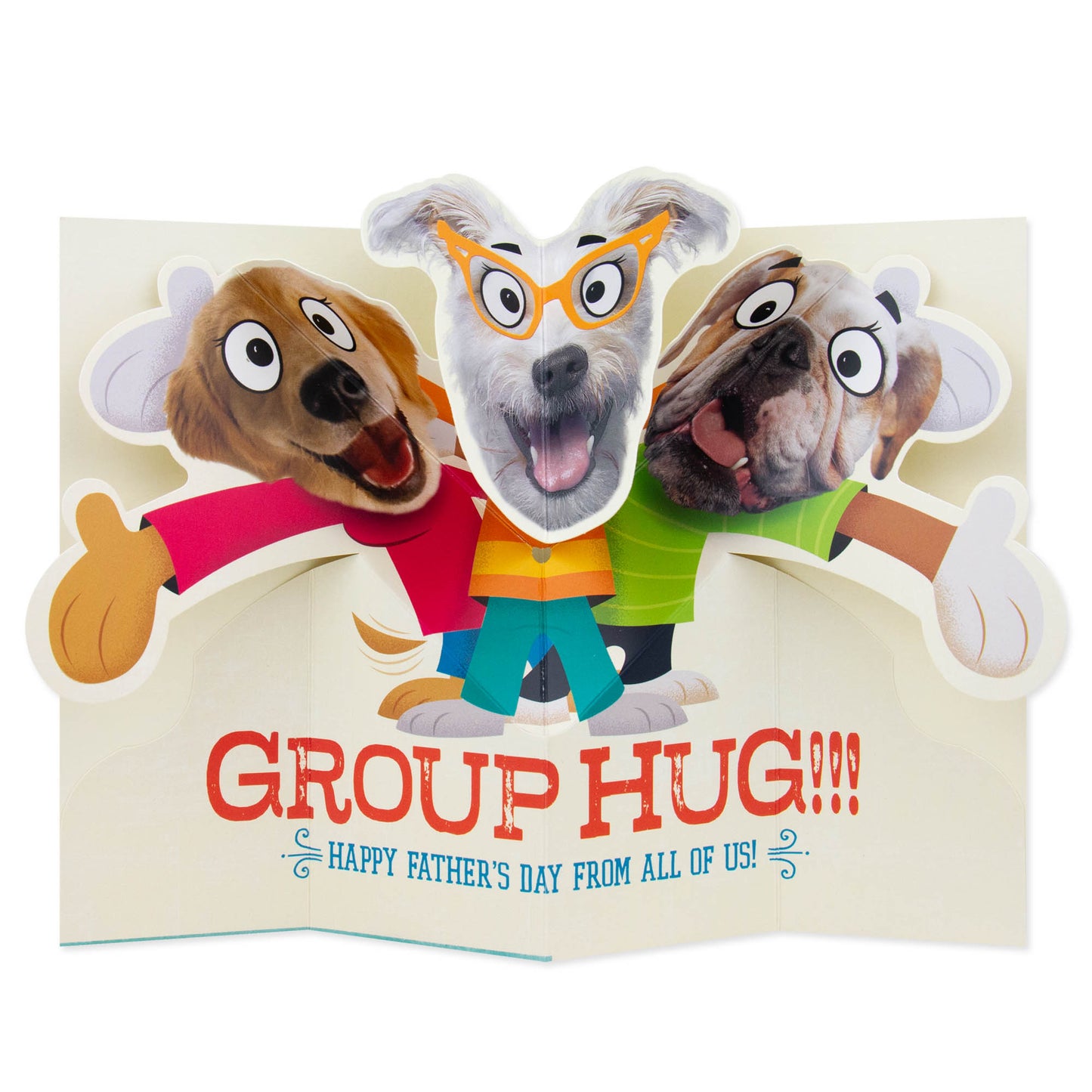Hallmark Father's Day Card From All Of Us - Group Hug!!!