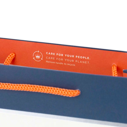 Hallmark Medium Gift Bag - Blue & White Stripes