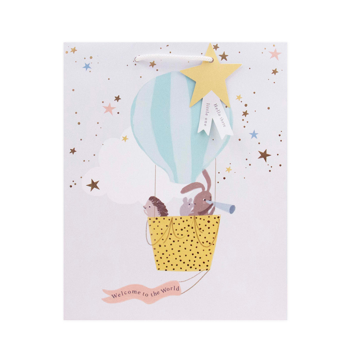 Hallmark Medium Gift Bag - Welcome To The World