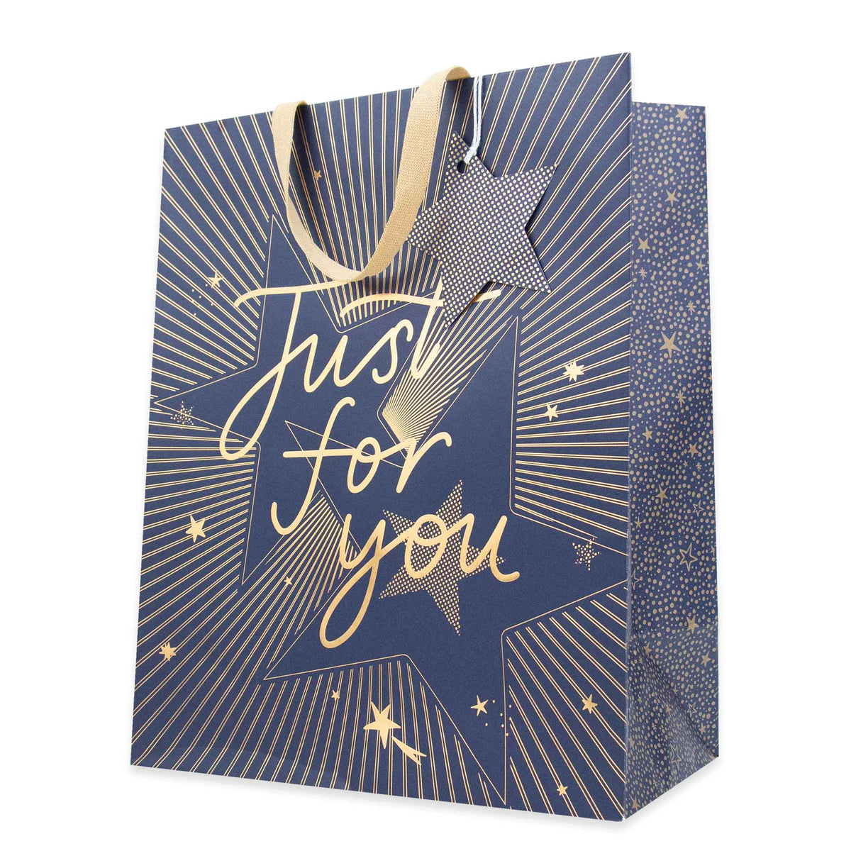 Hallmark Large Gift Bag - Just For You