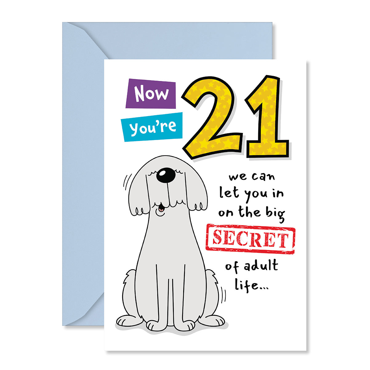 Hallmark 21st Birthday Card - Big Secret
