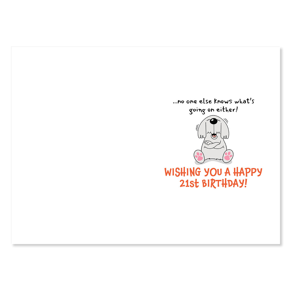 Hallmark 21st Birthday Card - Big Secret