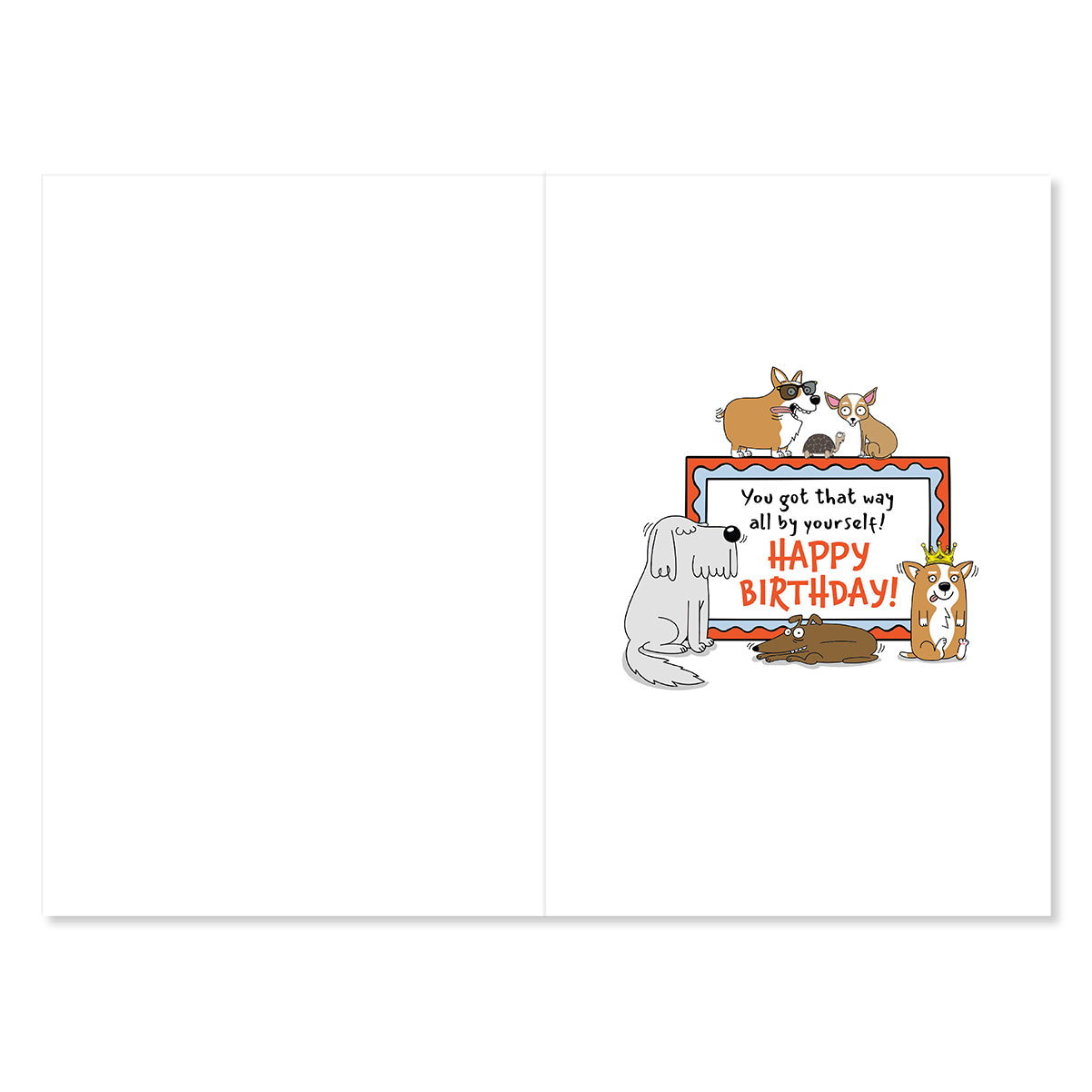 Hallmark 80th Birthday Card - Party Dogs