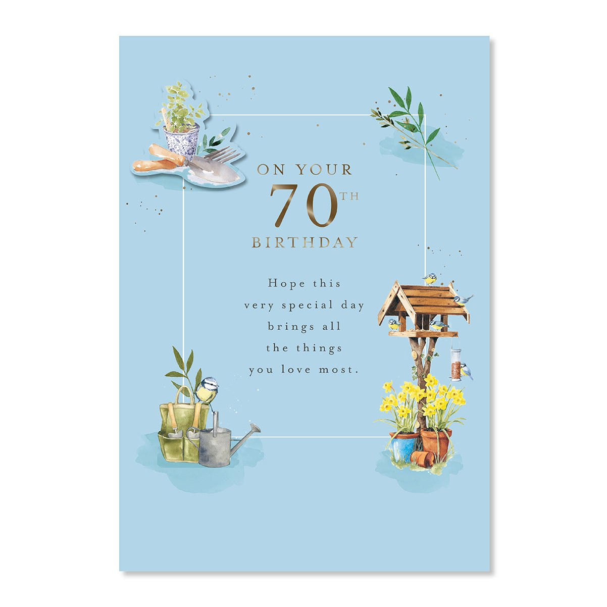 Hallmark 70th Birthday Card - Special Day