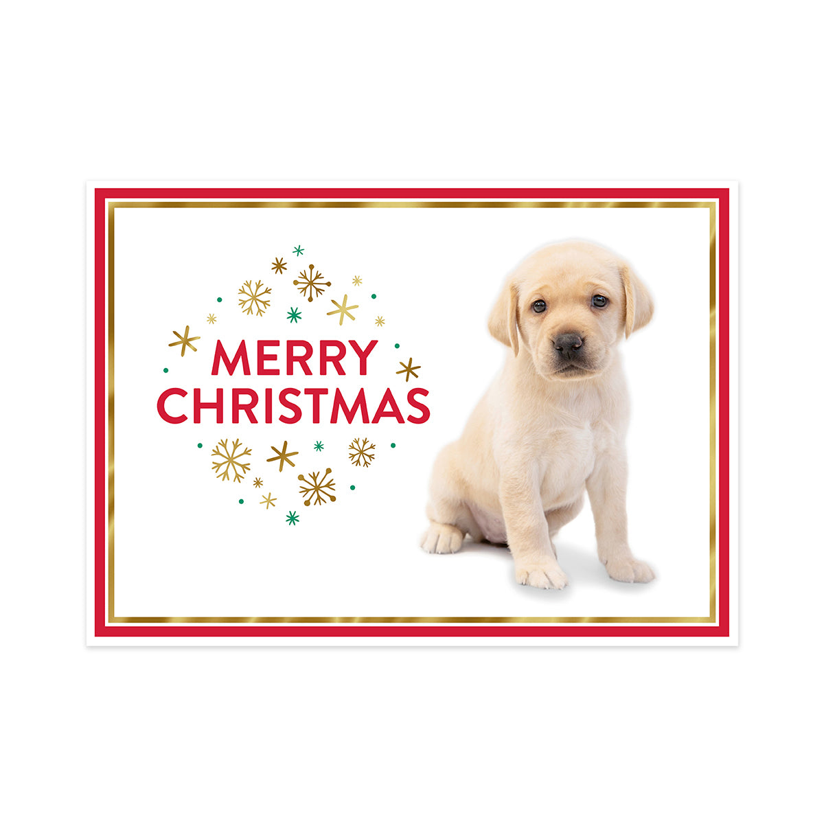 A rectangular Christmas greeting card featuring a light cream Labrador puppy on the right and the words “MERRY CHRISTMAS” in red on the left, surrounded by gold and teal snowflakes. The card has a white center, a red border, and a thin gold inner border, shown against a plain white background.