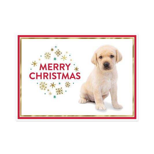 A rectangular Christmas greeting card featuring a light cream Labrador puppy on the right and the words “MERRY CHRISTMAS” in red on the left, surrounded by gold and teal snowflakes. The card has a white center, a red border, and a thin gold inner border, shown against a plain white background.