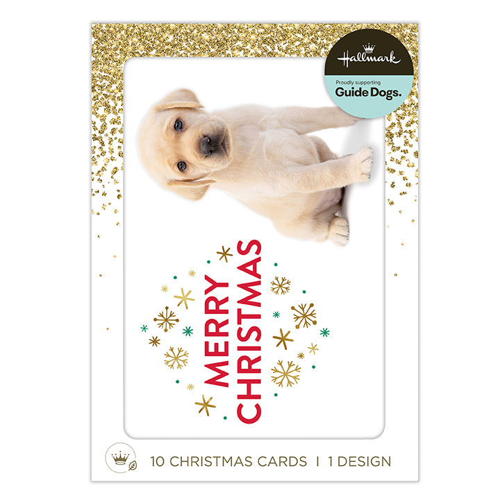 Hallmark Christmas card set featuring a puppy design, with a white card layout, gold glitter border, a puppy photo, and 'Merry Christmas' text with decorative snowflakes.
