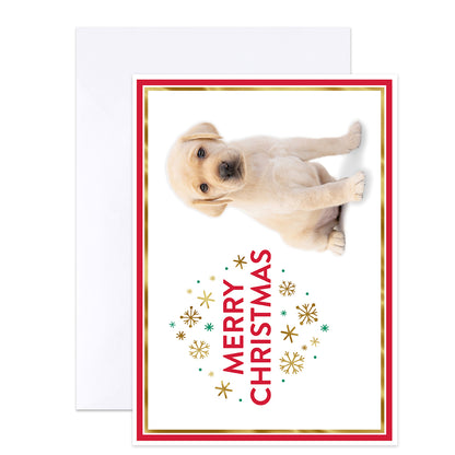 A Christmas greeting card featuring a light-colored puppy photo, with 'MERRY CHRISTMAS' in red text and gold and teal snowflake decorations, shown with a white envelope behind it.