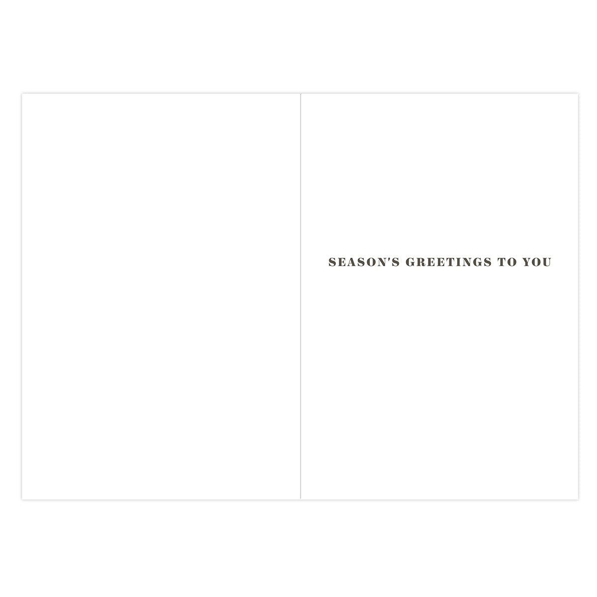 Hallmark Boxed Christmas Cards 10 Pack - Season's Greetings