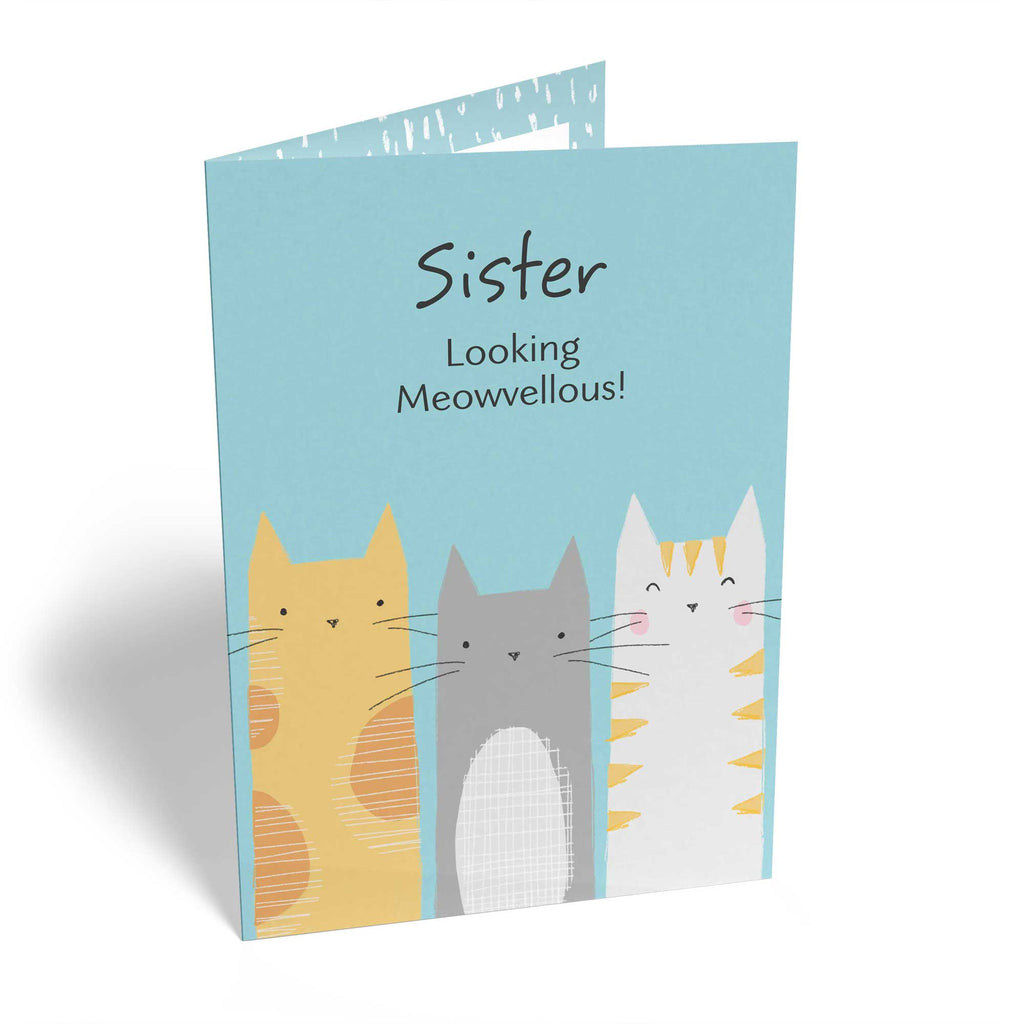 Sister Cute 3 Cats Illustration