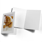 Cute Teddy Bear Bed Bandages