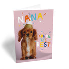 Cute Birthday Nan Photographic Dog In Party Hat