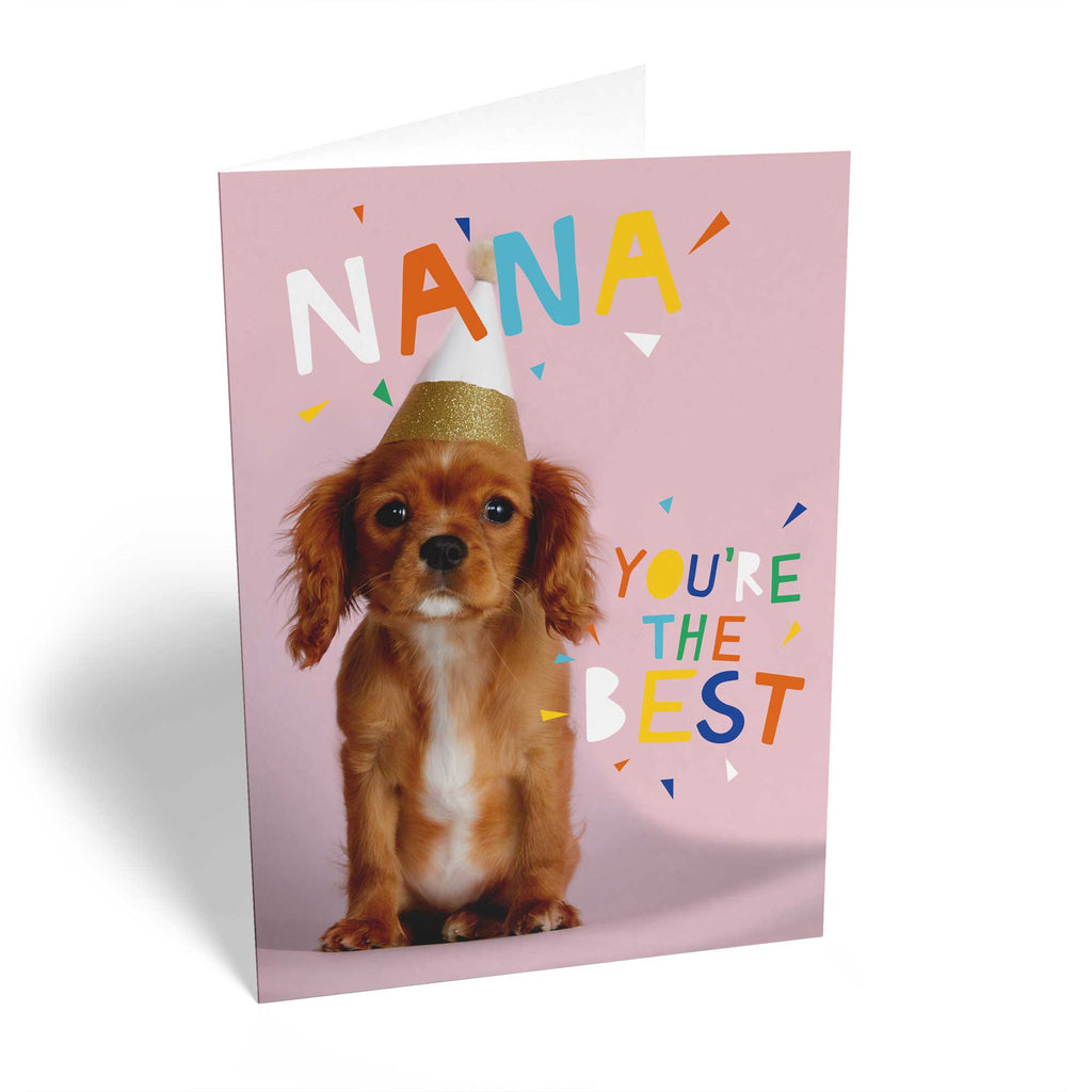 Cute Birthday Nan Photographic Dog In Party Hat