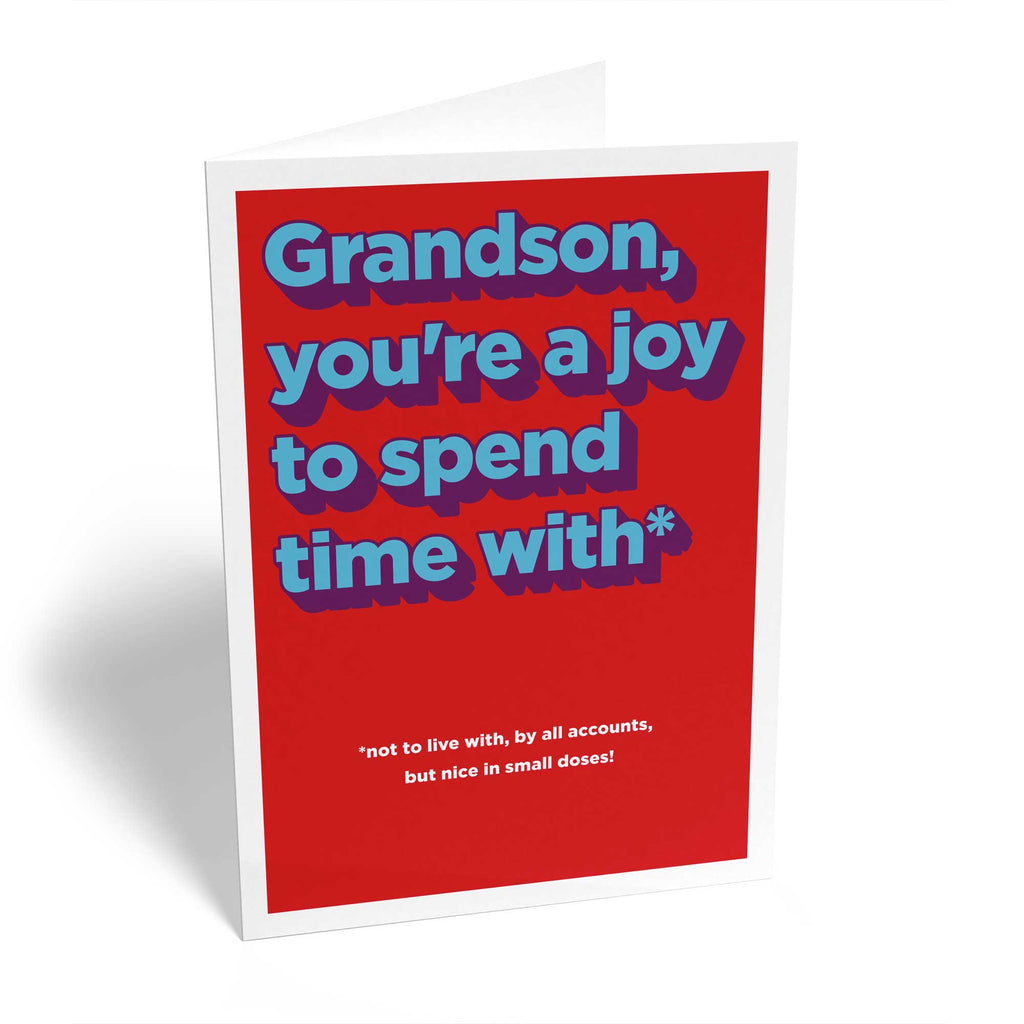 Funny Grandson Text Birthday Card