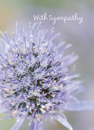 Traditional Sympathy Photographic Floral