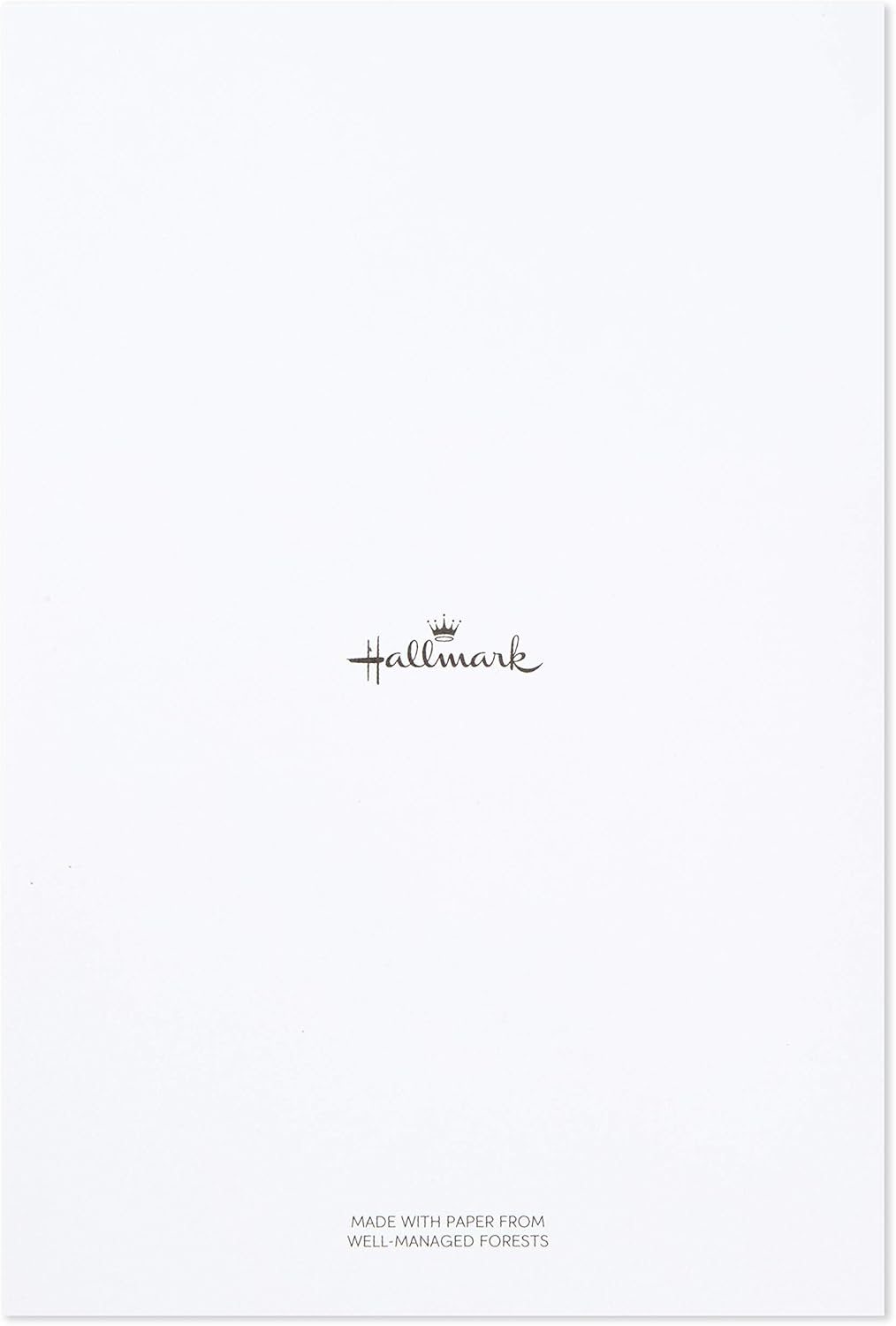 Hallmark Assorted Greeting Card Set (Fun Designs, 12 Cards and Envelopes)