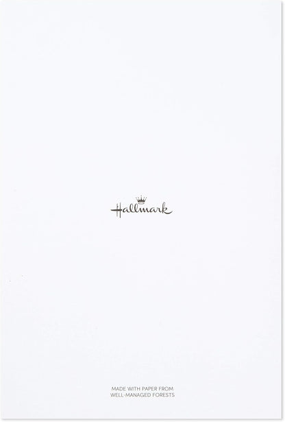 Hallmark Assorted Greeting Card Set (Fun Designs, 12 Cards and Envelopes)