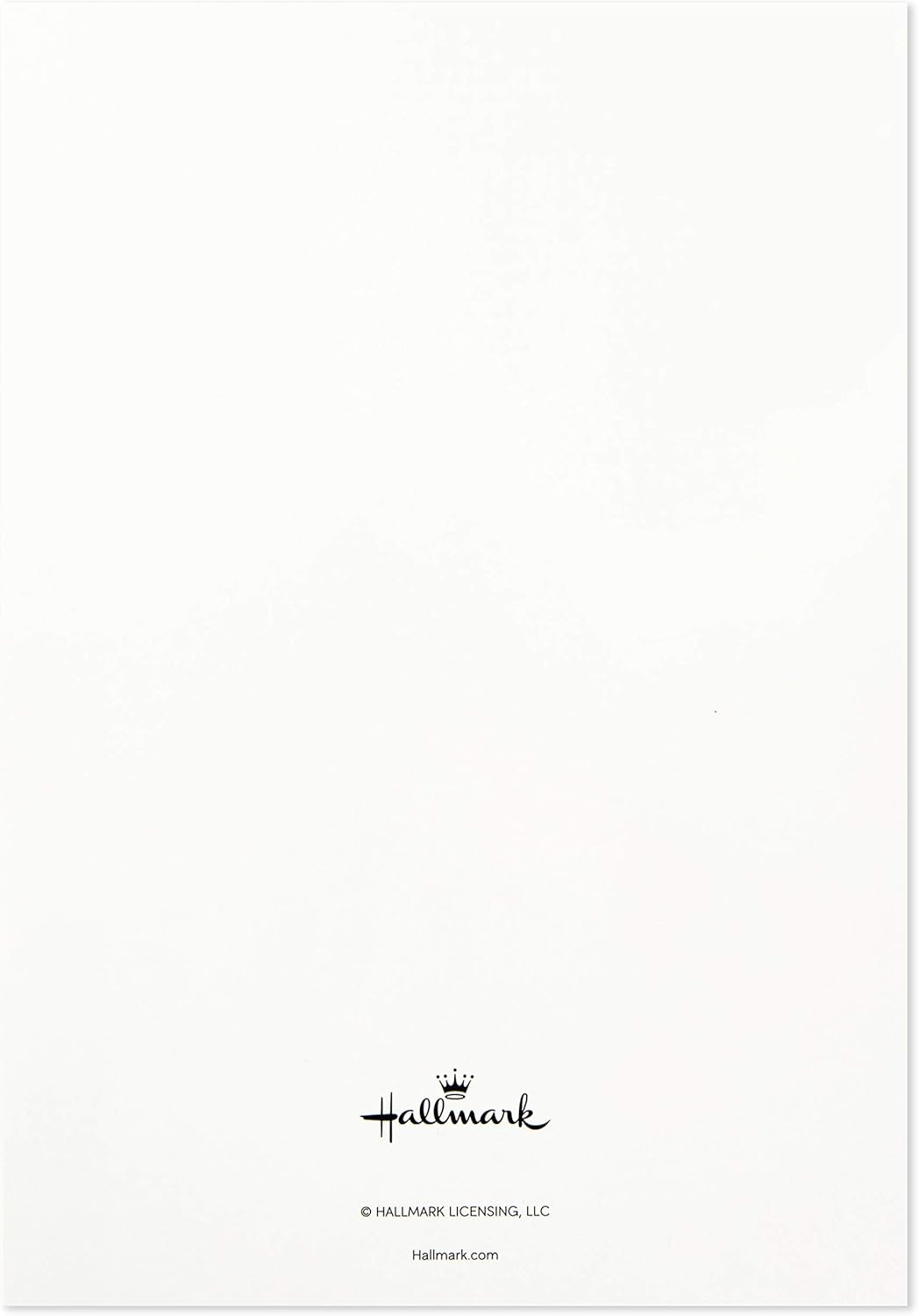 Hallmark Assorted Sympathy Greeting Cards (Flowers, 12 Cards and Envelopes) blank inner side featuring an embossed logo, standard Australian size.