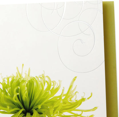 Hallmark Assorted Sympathy Greeting Cards (Flowers, 12 Cards and Envelopes) featuring a vibrant green flower design with embossed detail.