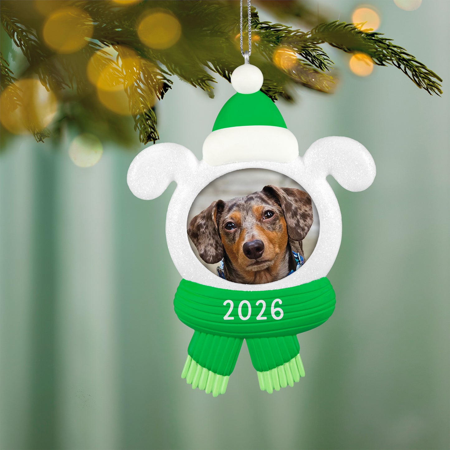 Snow Dog 2026 Photo Frame — 2026 Hallmark Keepsake Christmas Ornament featuring a cute dog design with a green knit scarf and hat, hung on a tree.