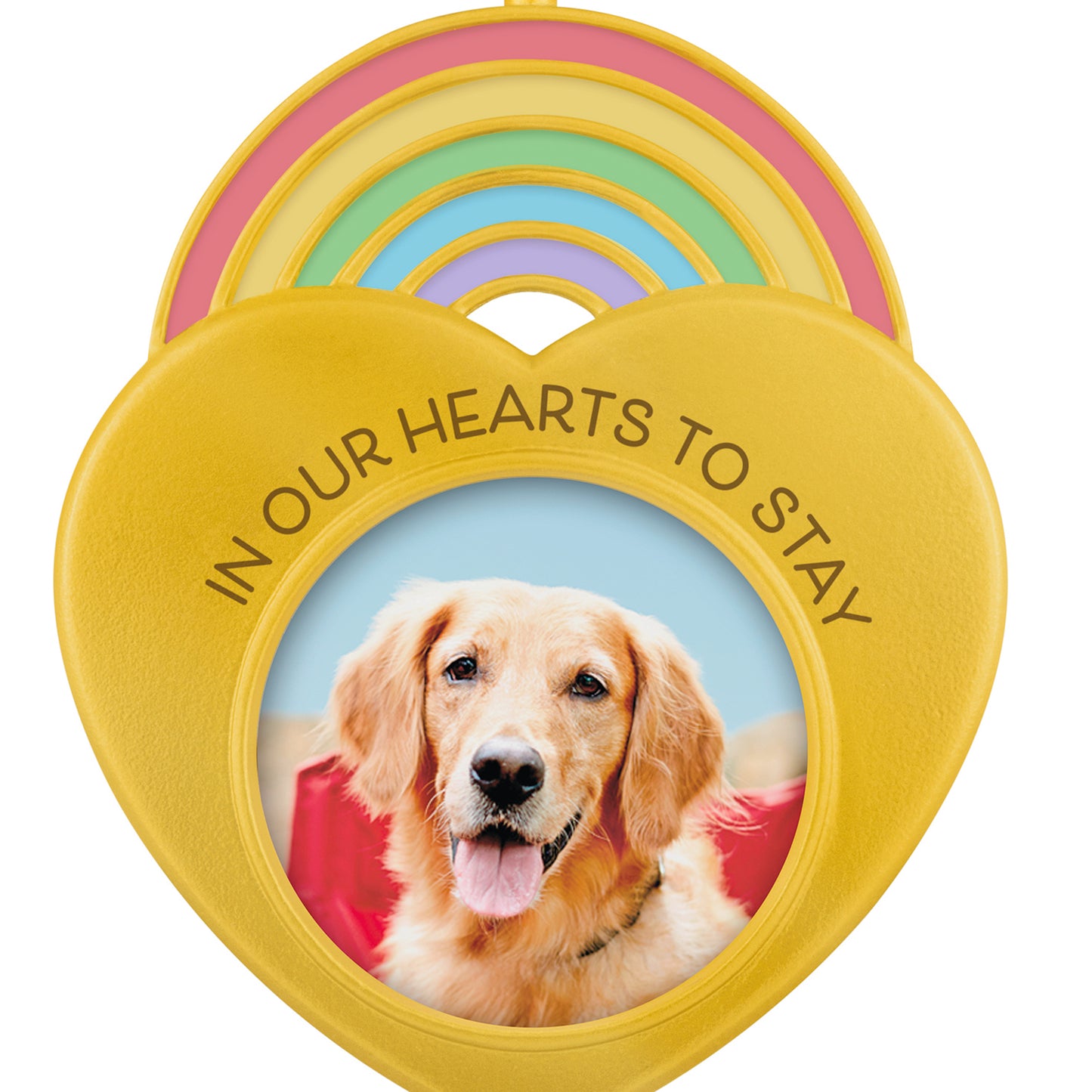 In Our Hearts to Stay 2026 Photo Frame — 2026 Hallmark Keepsake Christmas Ornament in gold heart shape with colourful rainbow and dog photo.