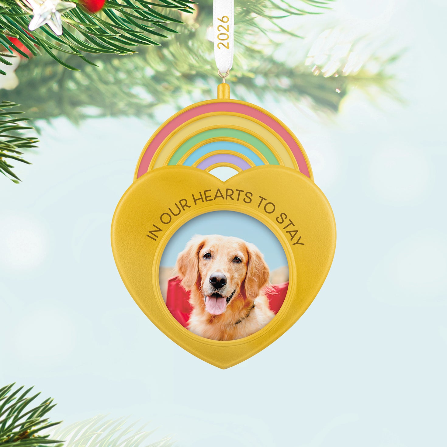 In Our Hearts to Stay 2026 Photo Frame — 2026 Hallmark Keepsake Christmas Ornament, gold heart design with picture of a dog, hanging in a festive setting.