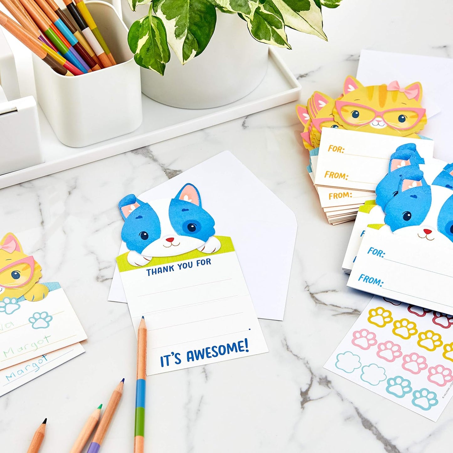 Hallmark Kids Fill in The Blank Thank You Cards Assortment, Dogs and Cats (24 Thank You Notes and 40 Stickers)